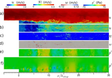 Figure 1. Visualization of the downstream fluid velocity, u; ver- ver-tical velocity, w; particle velocity magnitude, |U|; and fluid  pres-sure fluctuation, p ′ ; at an instant in time