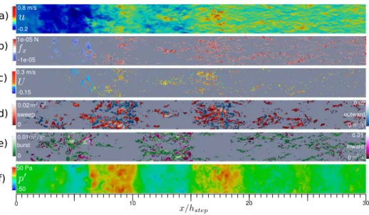 Figure 5. Flow, velocity quadrant, and transport variables at a time instant. (a) Downstream velocity at z = 1 mm as shown in Fig
