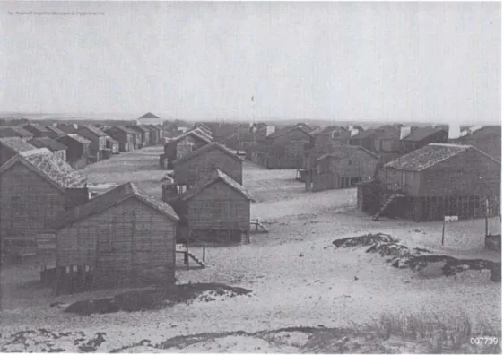 Fig. 3    A typical fishing settlement of Portuguese sea coast, Cova-Figueira da Foz. 