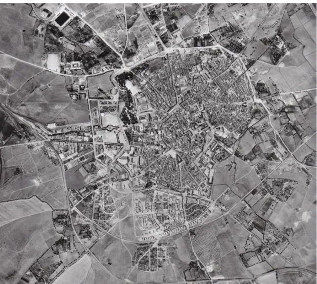 Fig. 4    The city of Évora, a typical street network of the South of Portugal. 