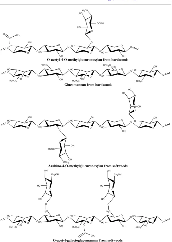 Figure 1. Structure of xylans and glucomannans from hardwoods and softwoods   (adapted after: Vázquez et al., 2000; Ebringerová, 2006) 
