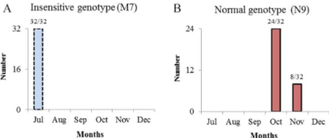 Figure 4. Number of plants observed at the beginning of lowering of the  yellow passionfruit genotypes UFV-M7 (A) and N9 (B)
