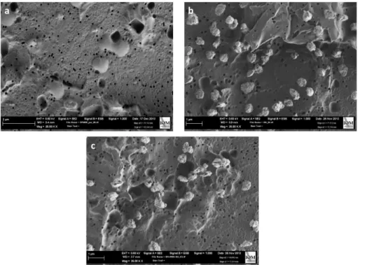 Figure 3. Examples of SEM images of the di ff erent suspensions. (a) BPWW, (b) illite-NX, (c) illite–BPWW.