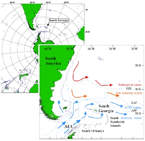 Figure 1 – Geographical location of South Georgia and a schematic representation of the  surface water circulation in the study area