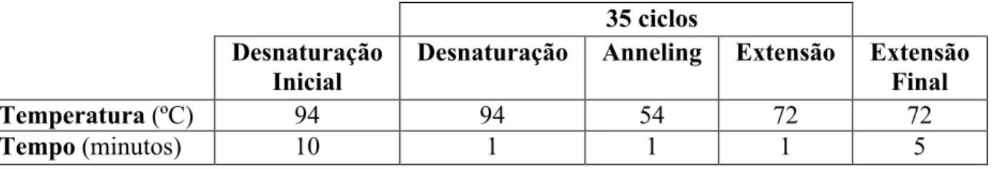 Tabela 7: Condições utilizadas no programa de PCR.