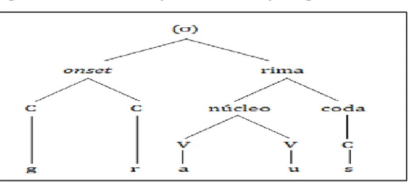 Figura 6- Estrutura dos tipos silábicos do português 