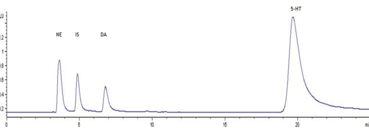 Figure  7:  Chromatogram  obtained  by  fluorescent  detection  of  5-HT,  DA,  NE  and  internal  standard  (DHBA) at 50 ng/mL using the final optimized conditions