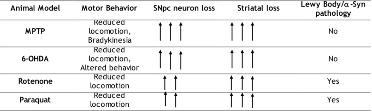 Table  1.3  shows  a  summary  of  the  models  that  were  listed  above  and  its  consequences  in  terms of loss of neurons in the SNpc, the loss of dopamine in striatum and the aggregation of 
