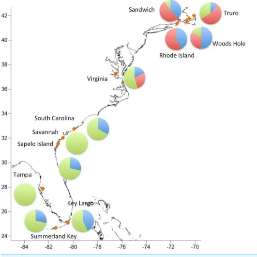 Figure 3 Geographic distribution of the three major haplogroups.