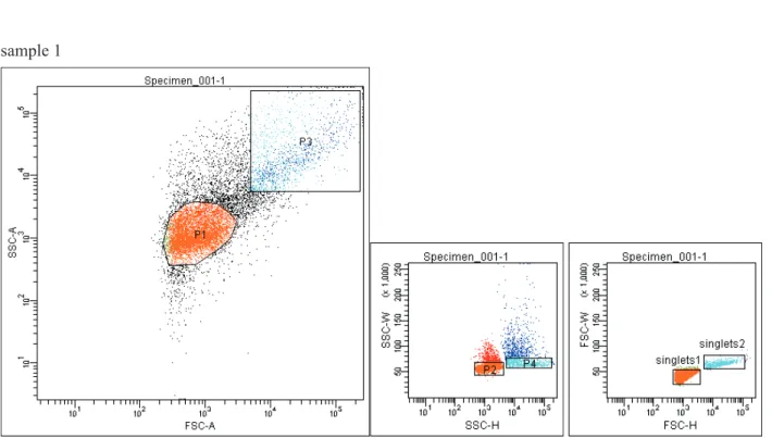 Fig. 3. Sorting of the analysed events from one of the sample (sample 1) in order to assess the cellular content (bacteria and  yeast) of samples