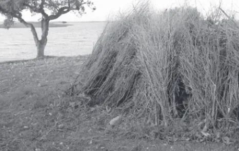 Figura 15 – Preparando uma queimada. Aldeia da Estrela, 2004