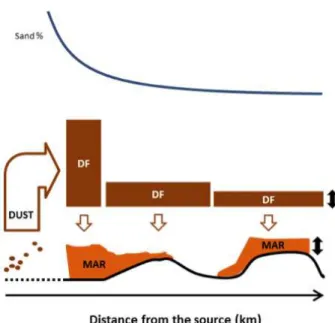 Figure 3. Conceptual plot of the evolution of dust deposition flux (DF) and size distribution (% sand) as a function of distance from the source.