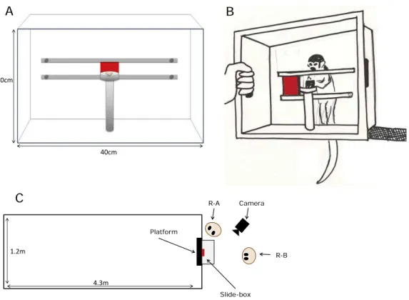 Figure 1 The Slide-box and experimental set-up. (A) A diagram of the Slide-box, from the researcher’s perspective