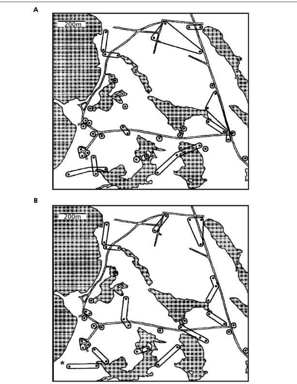 Fig.  3.  The  pattern  of  movements  of  Corncrake  surmised  from:  (A)  mapping  data  alone  and  (B) mapping data in conjunction with knowledge of individual identity obtained from recordings of calls