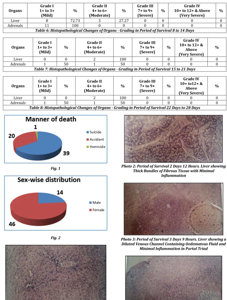 Table 6: Histopathological Changes of Organs - Grading in Period of Survival 8 to 14 Days 