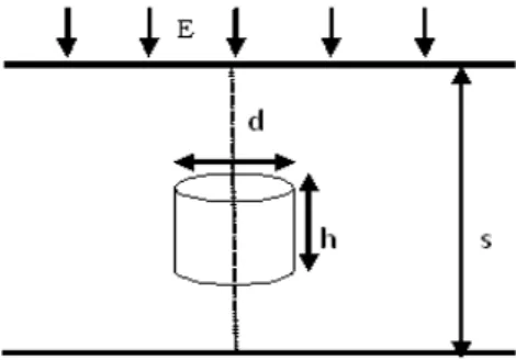 Fig. 2. Model of a cylindrical void within a solid insulation shows its axis parallel to the applied electric field 
