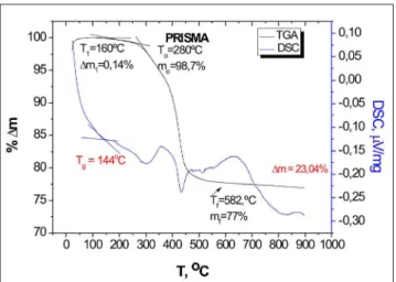 Fig.  5.  Representative  thermogravimetric  and  derivate  curves  for Natural Look.