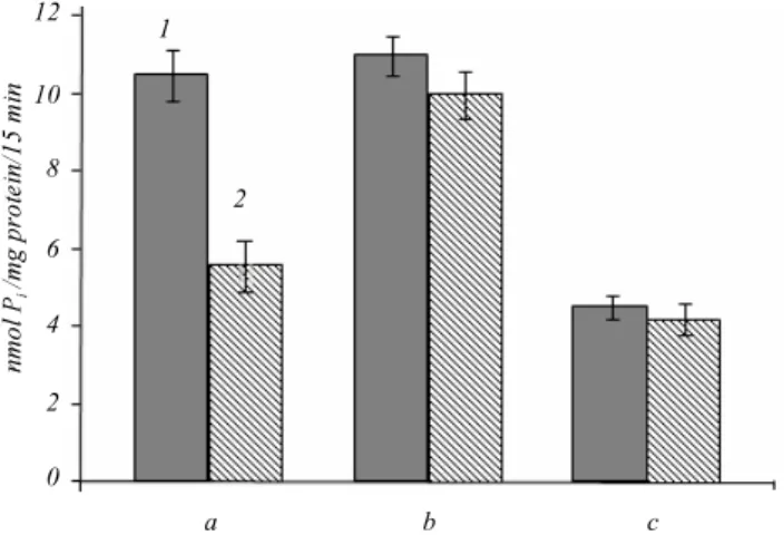 Fig. 3. The results of phosphate uptake assay on stable cell lines ex- ex-pressing wild type NaPi2b (a), mutant form NaPi2b_T330V (b) and control cell line (c) without (1) and with (2) MX35 antibody at  concen-tration 50 mg/ml during 24 h 