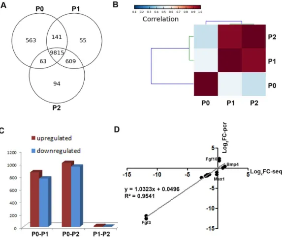 Figure 3 Comparison of the transcriptomic profiles of freshly isolated and cultured mDMCs