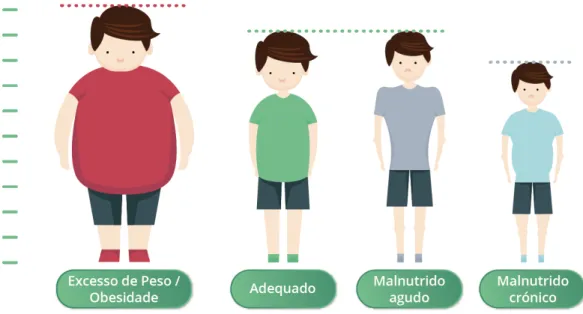 Figura 3. Diferentes biótipos e sua associação com o estado de nutrição e a saúde. 