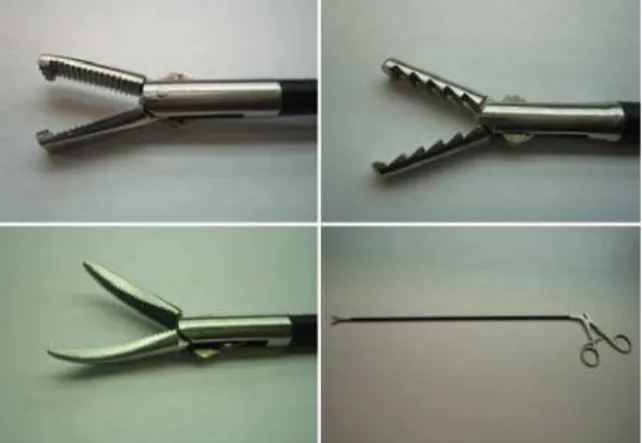 Fig. 1:  Typical endoscopic tools and graspers 