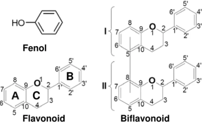 Gambar 1. Struktur dasar fenol, flavanoid dan biflavanoid. Sistem  cincin bisiklis dinamai cincin A dan C, sedangkan cincin unisiklis  dinamai cincin B
