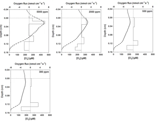 Fig. 2. Measured oxygen concentration (circles), modeled oxygen profile (line connecting cir- cir-cles) and modeled net primary production (NPP, square line) of the first set experiments