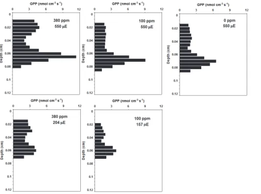 Fig. 5. Steady-state profiles of the microbial mat gross primary production (GPP) submitted to di ff erent atmospheric CO 2 concentrations and light of the second set of experiments.