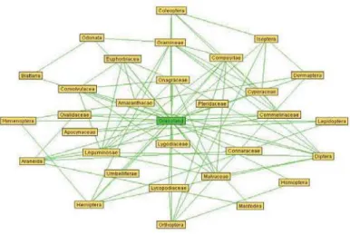 Fig. 3    Complex interactions in the plant-arthropod system, computed by the algorithm    from Zhang(2007) (Pearson correlation, 90% significance degree)