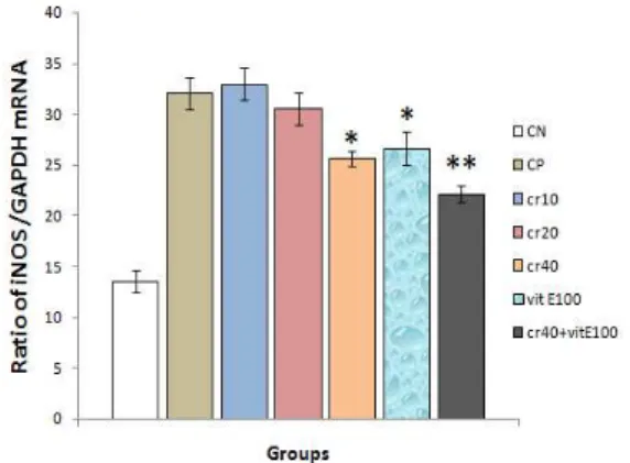 Figure 2. The iNOS amplifications of  mRNA ratio  GAPDH in different experimental treatment groups  by  RT-PCR  technique