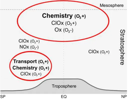 Figure 9. Schematic figure of the annual mean nonlinear ozone change between 1960 and 2000 and the main processes we have identified