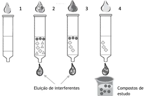 Figura 5: Representação esquemática das etapas do método de SPE (1- Acondicionamento; 2- Aplicação  da amostra; 3- Lavagem; 4- Eluição dos compostos) (Biotage 2011)