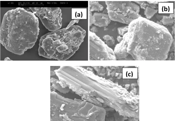 Figure 3. SEM images of mannitol treated with ethanol; . (a) untreated mannitol; (b) treated with ethanol; (c) treated with 80% ethanol 