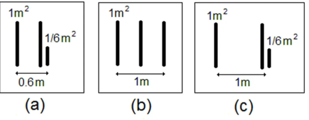 Fig. 1. Schematic view of the three Grotte Taillerie setups: (a) January–April 2011, (b) April–