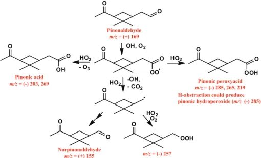 Fig. 2. Pathway of photooxidation of pinonaldehyde under low-NO x conditions. Species that were observed are labeled in red