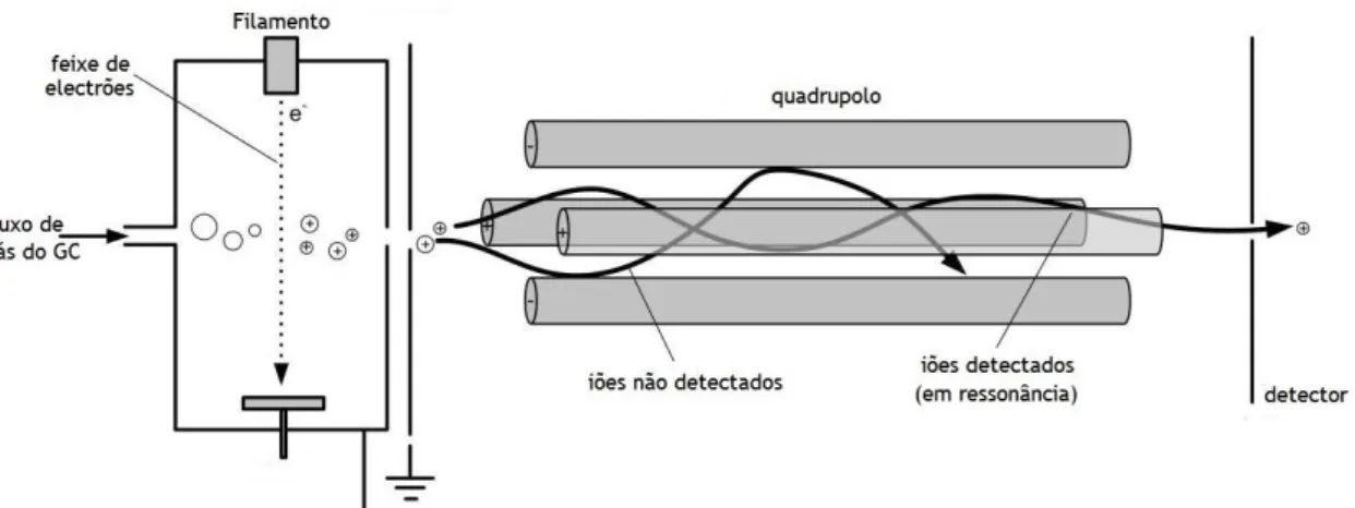 Figura  6: Representação  esquemática  do  funcionamento  da  fonte  ionização  por  impacto  de  electrões  (IE) e do quadrupolo simples (lado esquerdo e lado direito, respectivamente) geralmente associados ao  GC-MS (imagem adaptada de Wittmann, 2007) [8