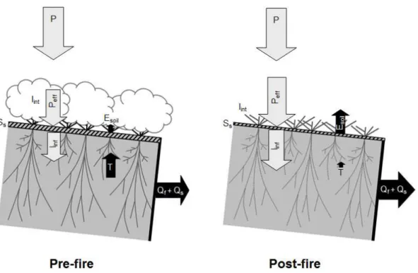 Fig. 11. Fire impact on hydrology, showing pre- and post-fire water fluxes and rainfall partitioning