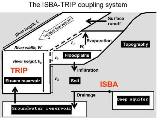 Fig. 1. Schematic representation of the ISBA/TRIP (Oki et al., 1999; Decharme et al., 2007) coupled system
