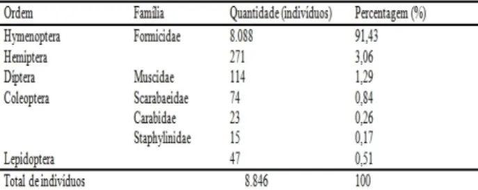 Figura  10  -  Número  e  percentagem  de  insetos  bioindicadores entre todos os indivíduos coletados