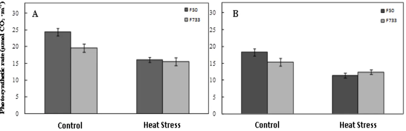 Figure 1  Effect of short-term high temperature stress on leaf photosynthesis of cv. Fedearroz 50  (  F50), and cv