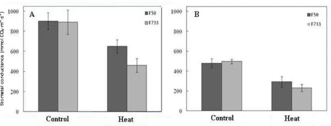 Figure 2 Effect of short-term high temperature stress on stomatal conductance of cv. Fedearroz 50   (  F50), and cv