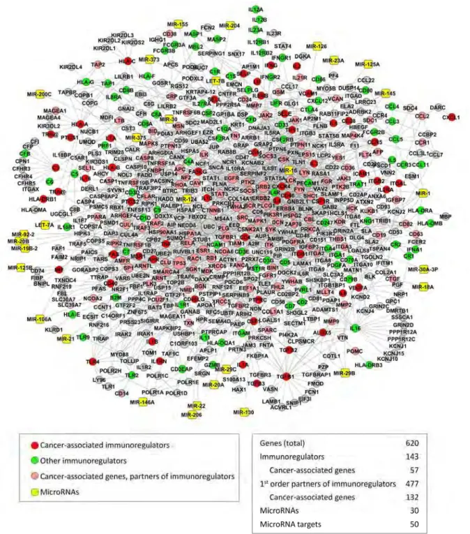 Fig. 1 The miRNA-regulated PPI immunoregulatory network. The network includes immunoregulators, their first-order partners,  and miRNAs with experimentally validated targets