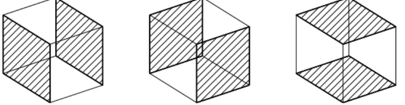 Figure 8.1: The (opposite) faces of H 3