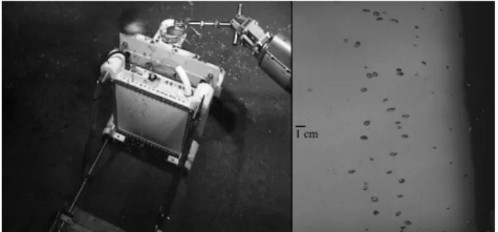 Fig. 10. Left photo taken by the ROV operational camera;