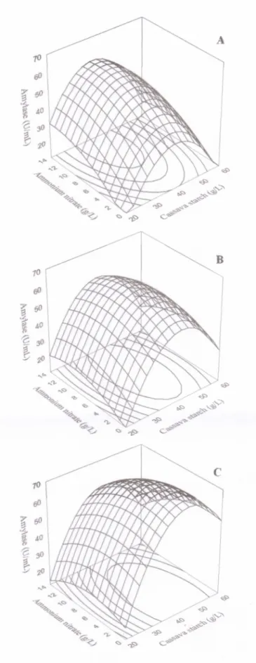 Figure  4.    Response  surface  plots  representing  the  interaction  between  cassava    starch  and  ammonium nitrate concentrations  and  their  effects  on  amylase  activity  at  given  yeast  extract concentrations: 5 g/L (A), 12.5 g/L (B) and 20 g