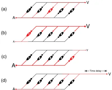 Figure 9. An illustration of how learned associations (Bayesian priors) between physical simultaneity and relative  stimulus intensity might be represented in a place-coded delay line network of coincidence detectors
