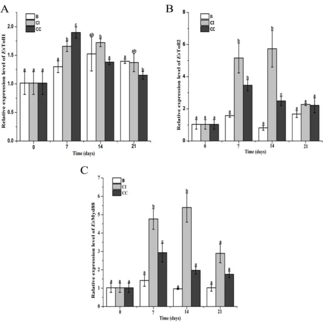 Fig. 3 Real-time PCR analysis of EsToll1 (A), EsToll2 (B) and EsMyD88 (C) mRNA expression in hepatopancreas  of crabs after feeding CpG ODNs-supplement diet