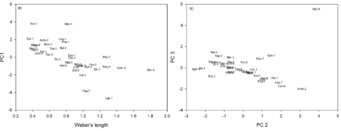 Figure 1 Ant genera plotted in morpho-space: (A) Weber’s length against PC1; (B) PC2 against PC3