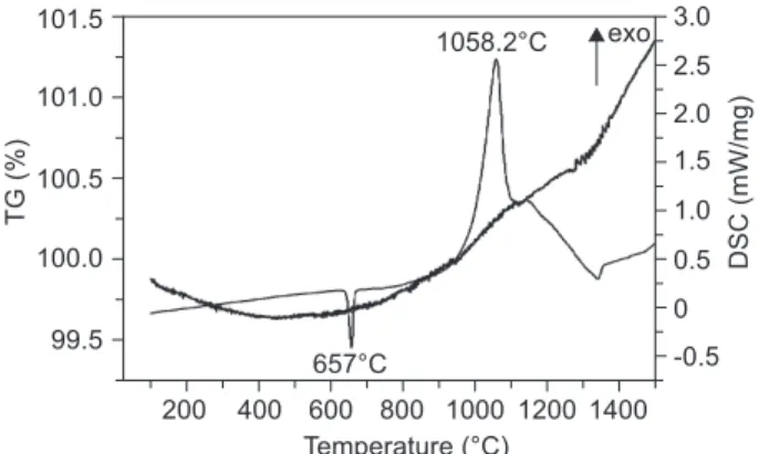 figure 1.  dSC-tg curve of the mixture with x = 0 mol.