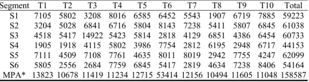 Table 3: Segment-Wise Promotional Effort Allocation 